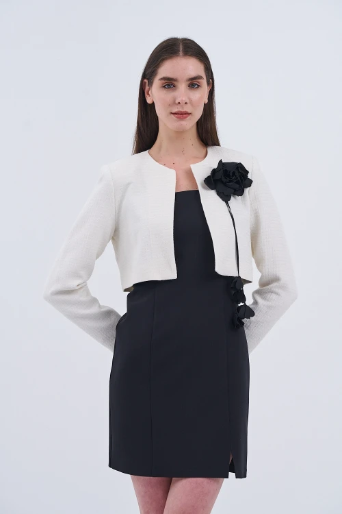 Trend Kadın Modern ve Şık Ceket ve Elbise Kombini